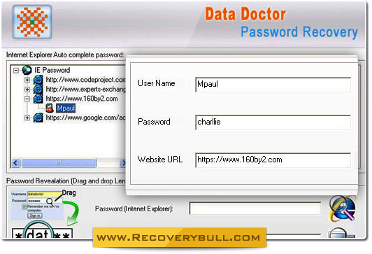 Internet Explorer Password Recovery and Unmask Tool Screenshot