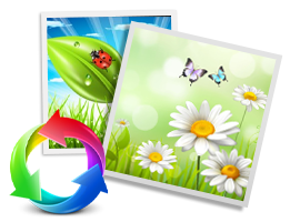 Digital Photo Recovery